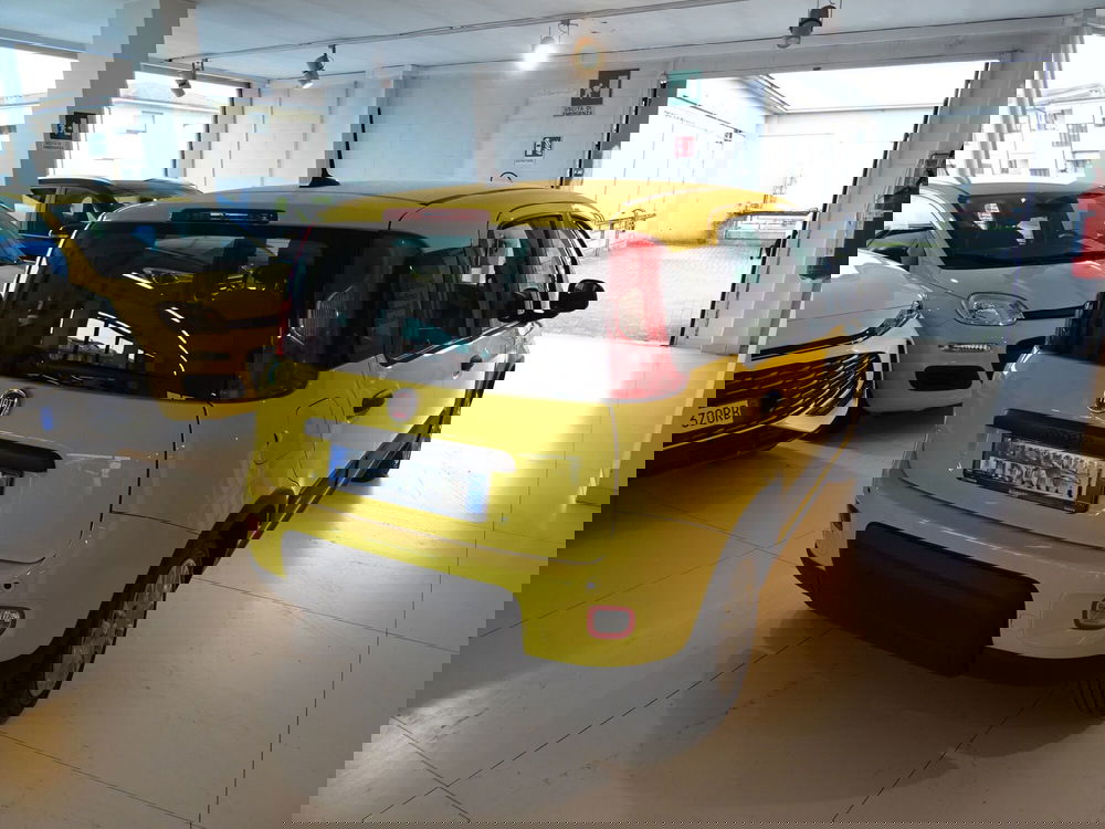 Fiat Panda usata a Lucca (4)