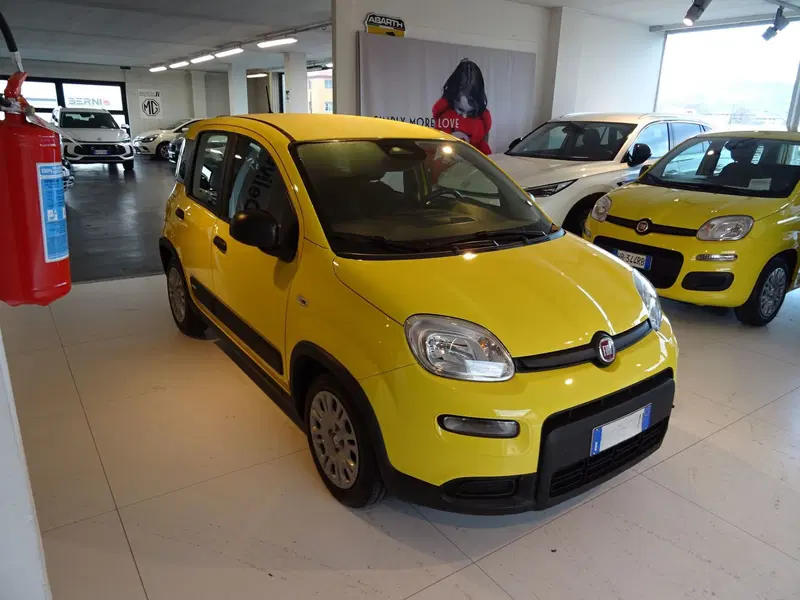 Fiat Panda usata a Lucca (6)