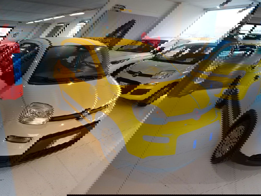 Fiat Panda usata a Lucca (6)