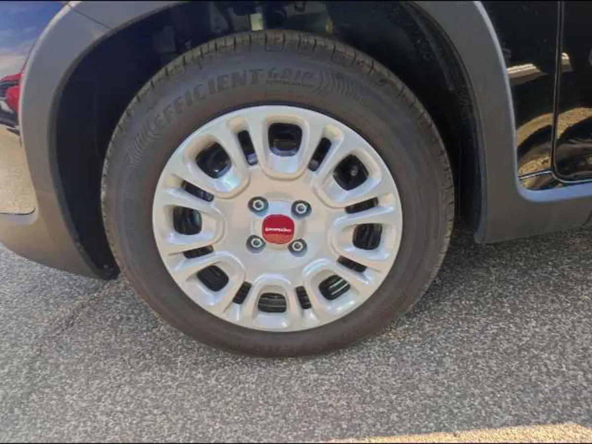 Fiat Panda usata a Roma (19)