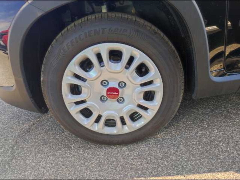 Fiat Panda usata a Roma (19)