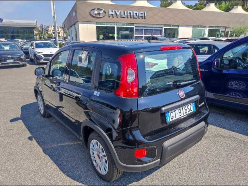 Fiat Panda usata a Roma (2)