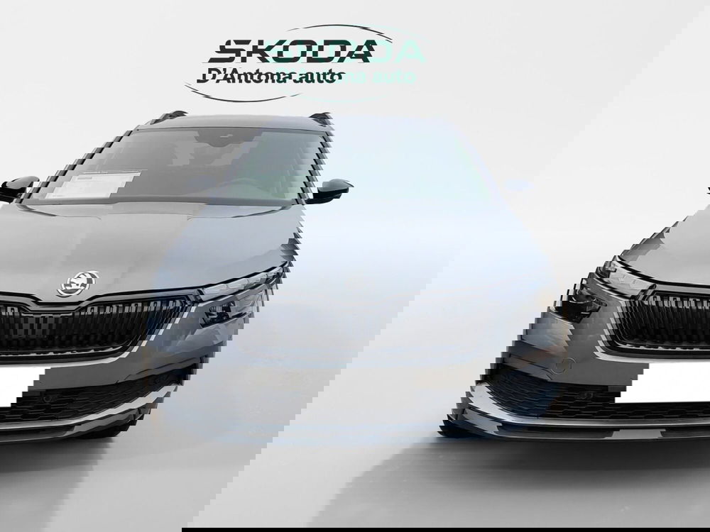 Skoda Kamiq usata a Taranto (3)