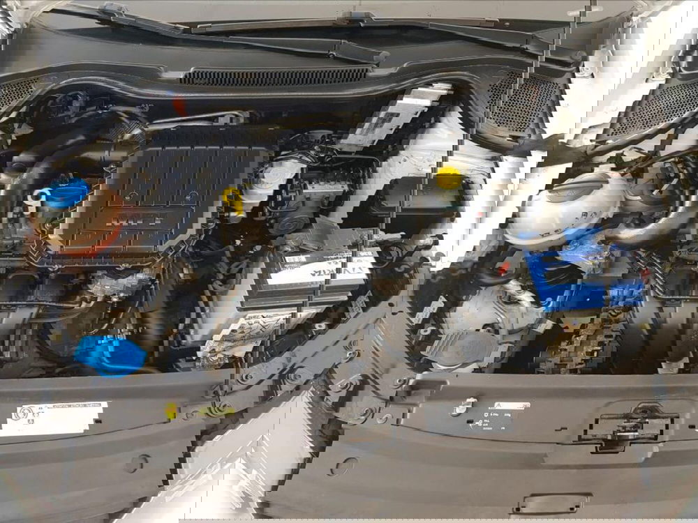 Volkswagen Polo usata a Lucca (17)