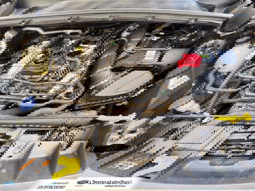 Ford Puma usata a Roma (12)