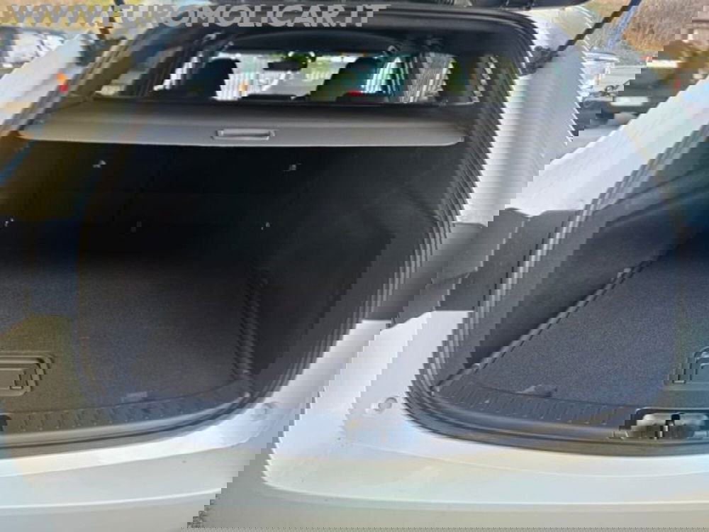 Suzuki Swace nuova a Campobasso (4)