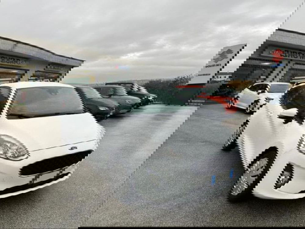 Ford Fiesta usata a Campobasso