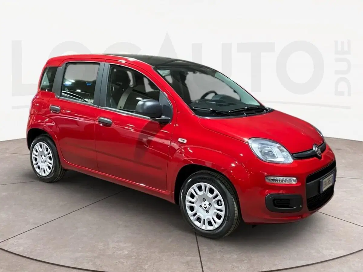 Fiat Pandina nuova a Torino (3)