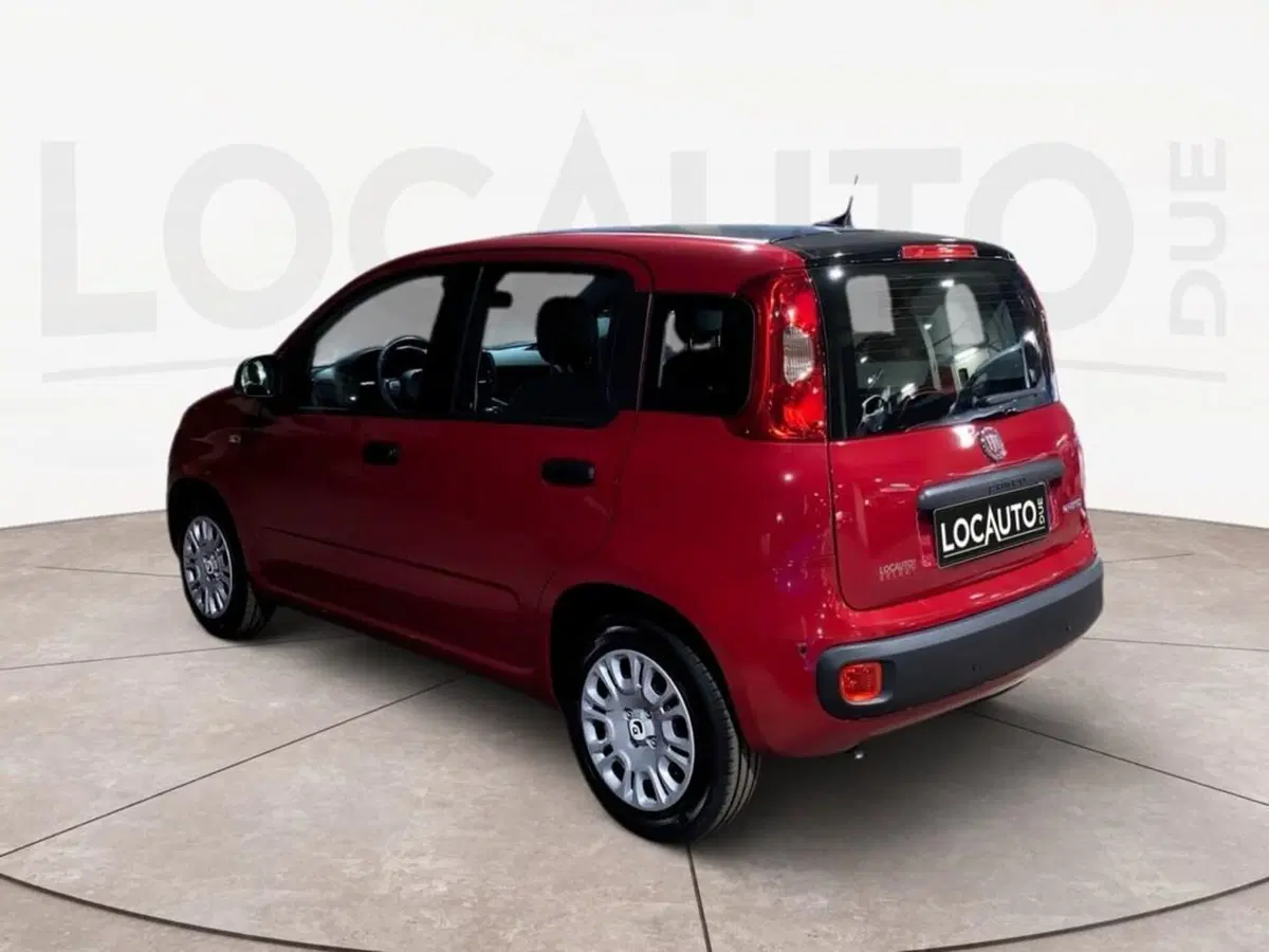 Fiat Pandina nuova a Torino (5)