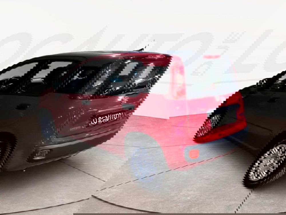 Fiat Pandina nuova a Torino (5)