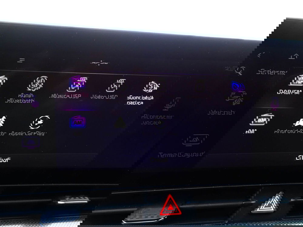 Kia Sportage usata a Treviso (20)