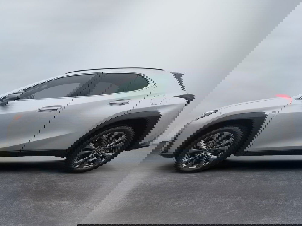 Lexus UX usata a Modena (3)