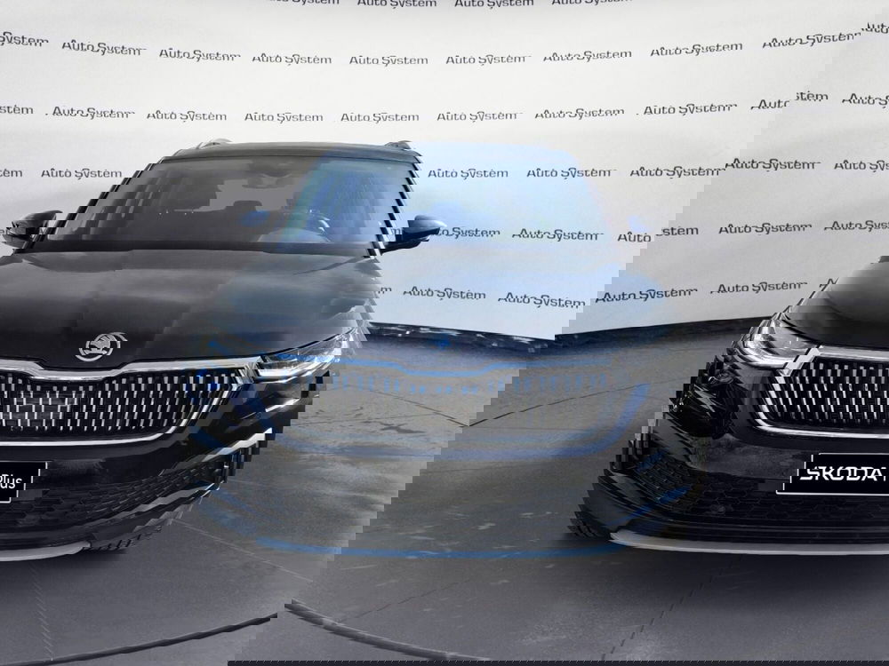 Skoda Kodiaq usata a Palermo (2)