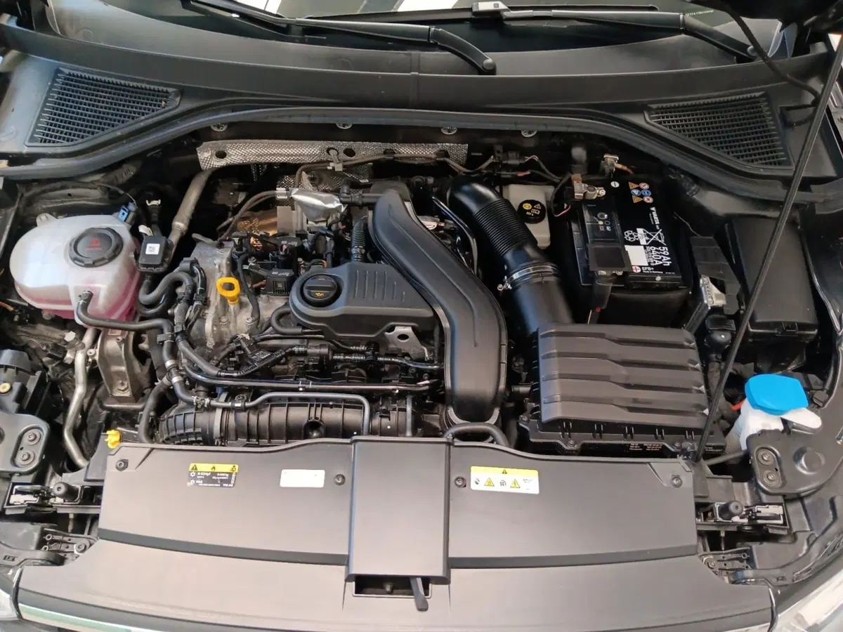 Volkswagen T-Roc usata a Bologna (10)