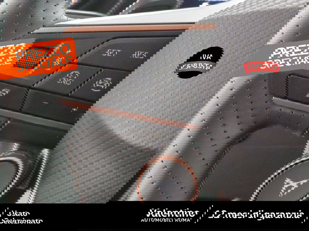 Cupra Formentor usata a Roma (14)