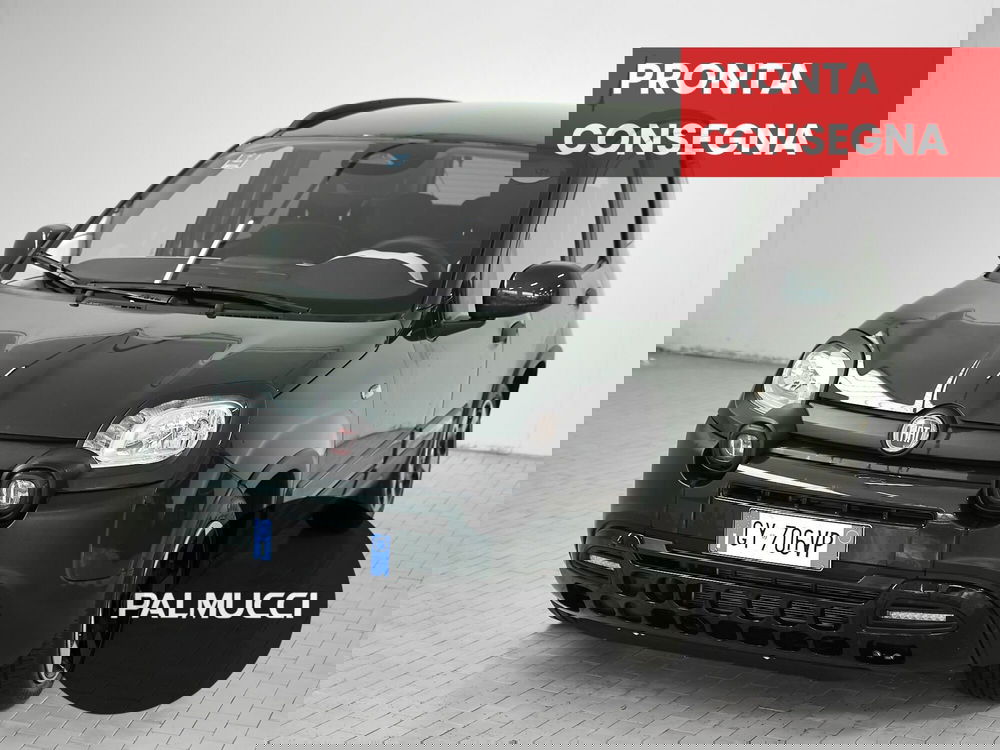 Fiat Pandina usata a Prato