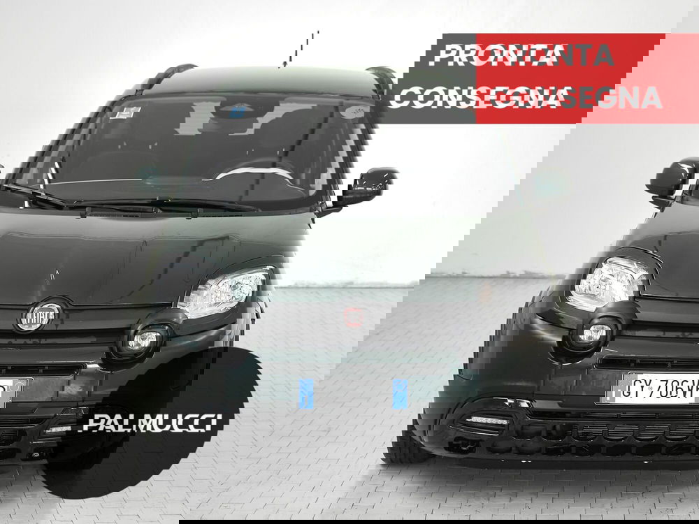 Fiat Pandina usata a Prato (2)