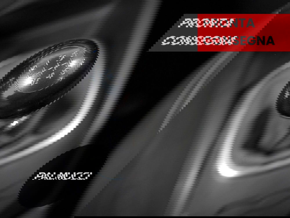 Fiat 500L usata a Prato (12)