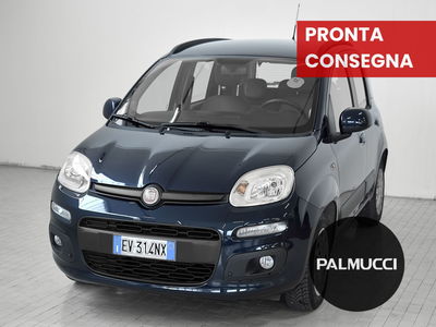 Fiat Panda 1.2 Easy del 2014 usata a Prato
