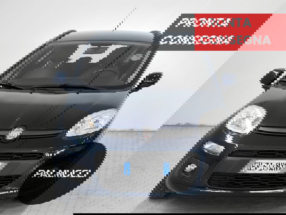 Fiat Panda usata a Prato (2)