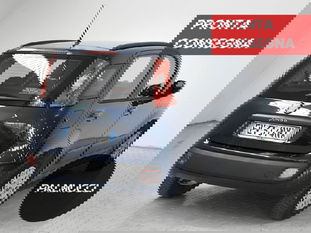 Fiat Panda usata a Prato (3)