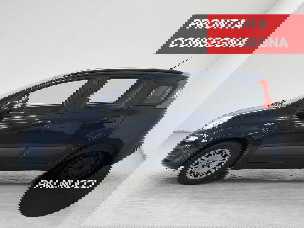 Fiat Panda usata a Prato (4)