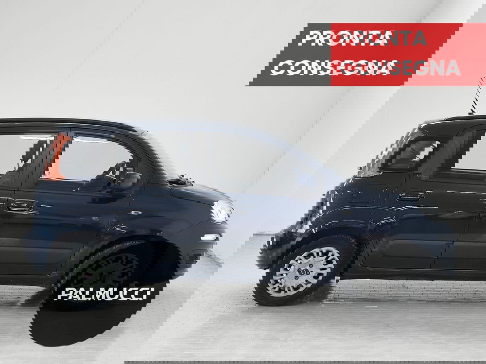 Fiat Panda usata a Prato (5)