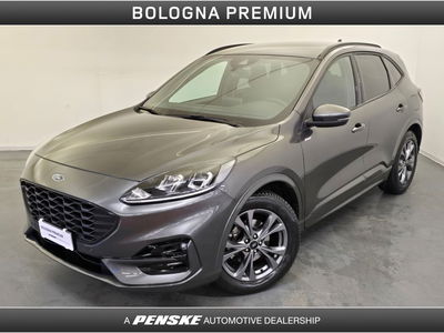 Ford Kuga 2.0 EcoBlue 120 CV aut. 2WD ST-Line X del 2024 usata a Casalecchio di Reno