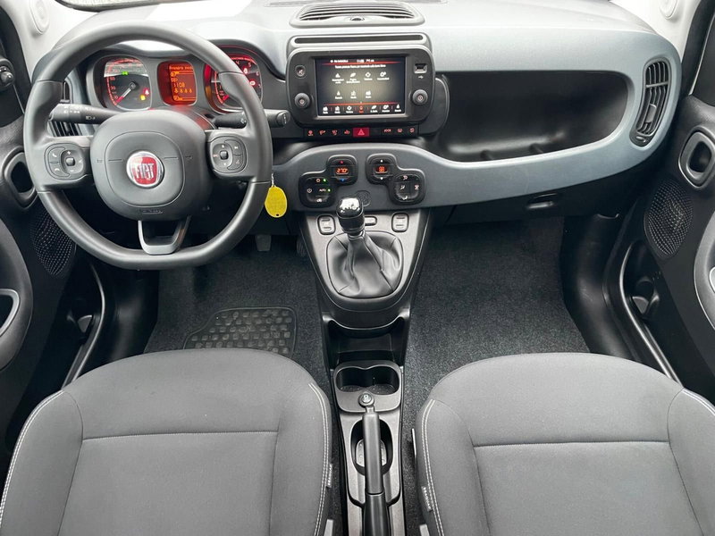 Fiat Panda Cross usata a Ancona (10)