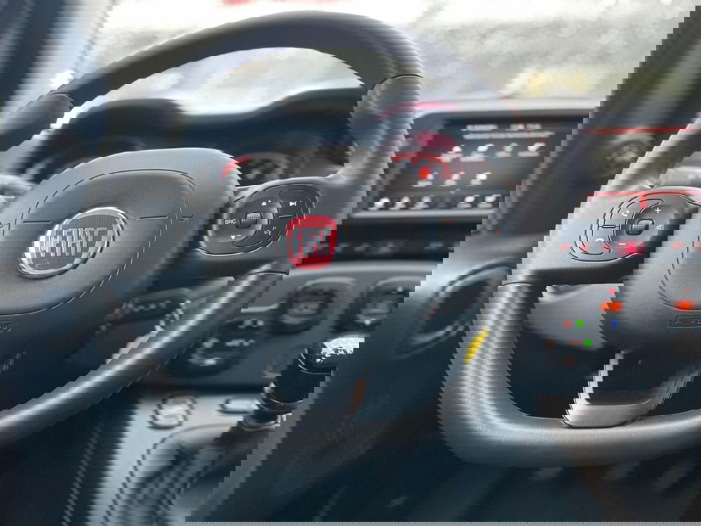 Fiat Panda Cross usata a Ancona (11)