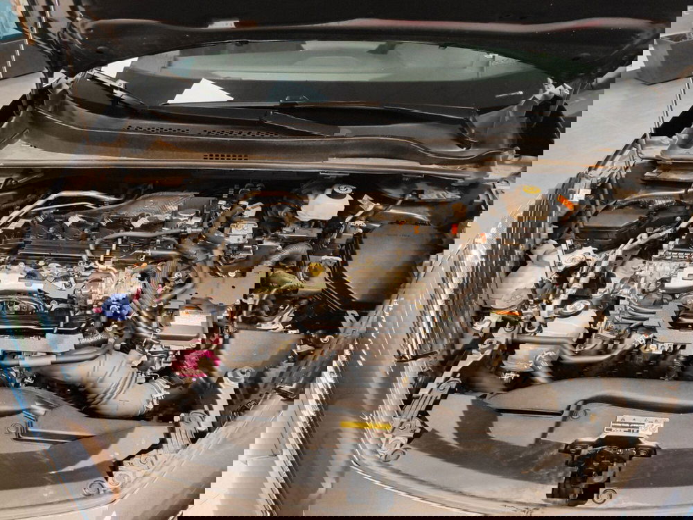 Toyota Toyota C-HR usata a Catanzaro (13)