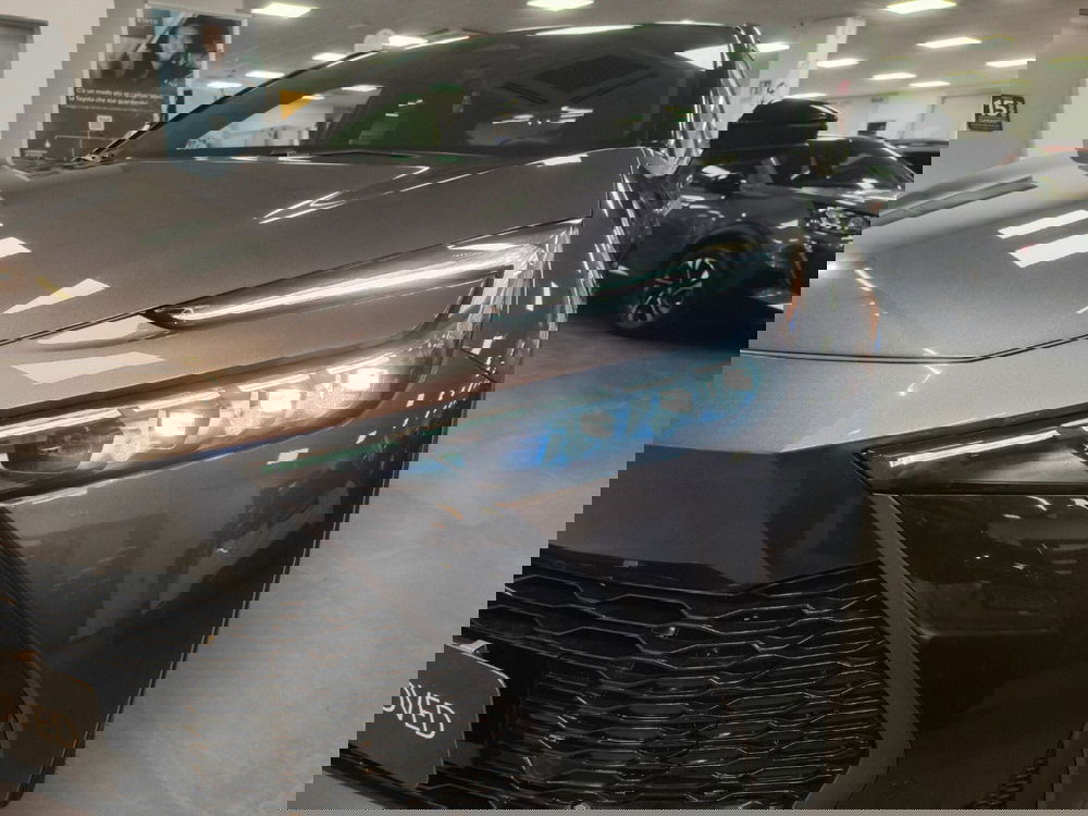 Toyota Toyota C-HR usata a Catanzaro (9)