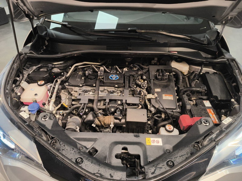 Toyota Toyota C-HR usata a Catanzaro (13)