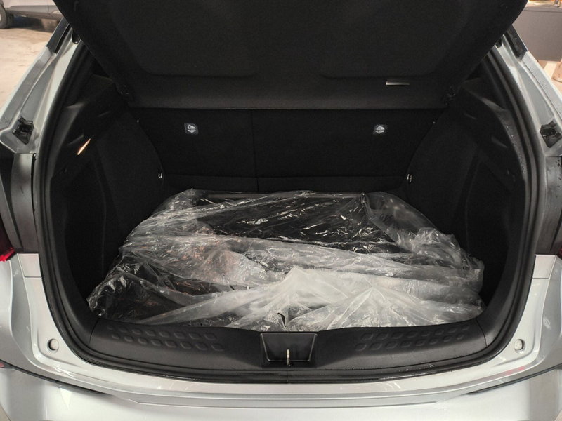 Toyota Toyota C-HR usata a Catanzaro (14)