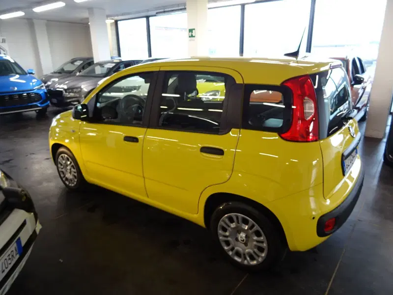 Fiat Panda usata a Lucca (2)