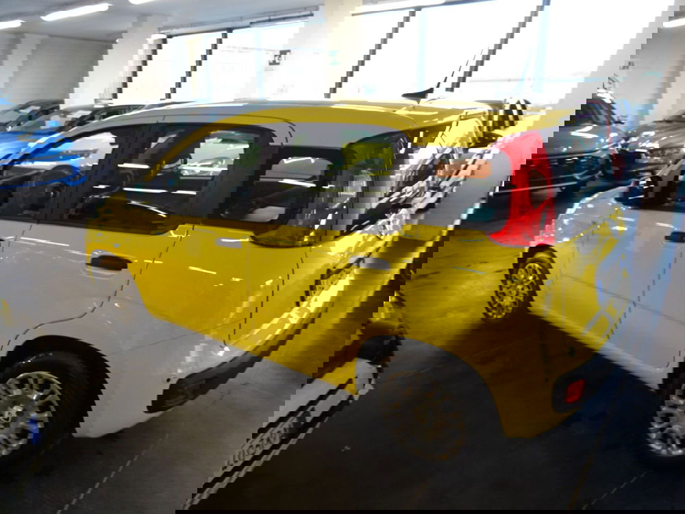 Fiat Panda usata a Lucca (2)