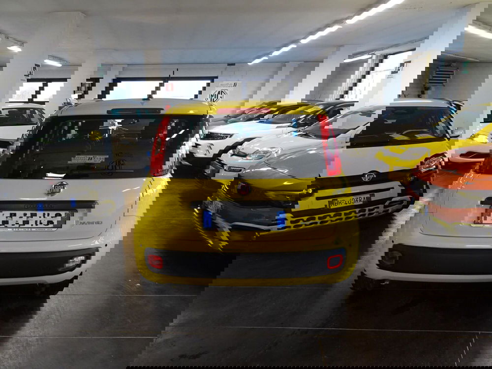 Fiat Panda usata a Lucca (4)