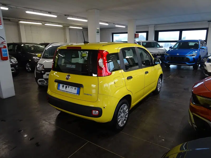 Fiat Panda usata a Lucca (5)
