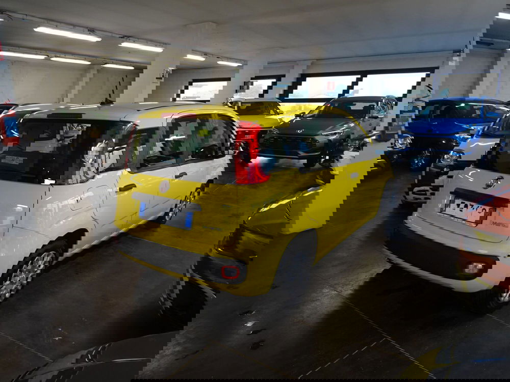 Fiat Panda usata a Lucca (5)