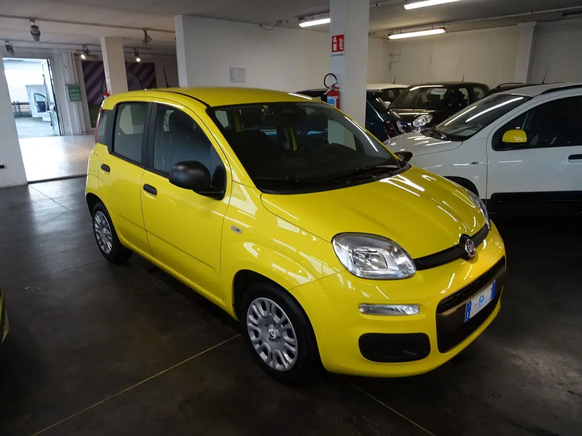 Fiat Panda usata a Lucca (6)