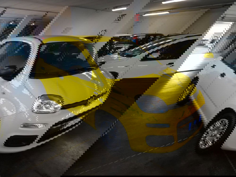 Fiat Panda usata a Lucca (6)