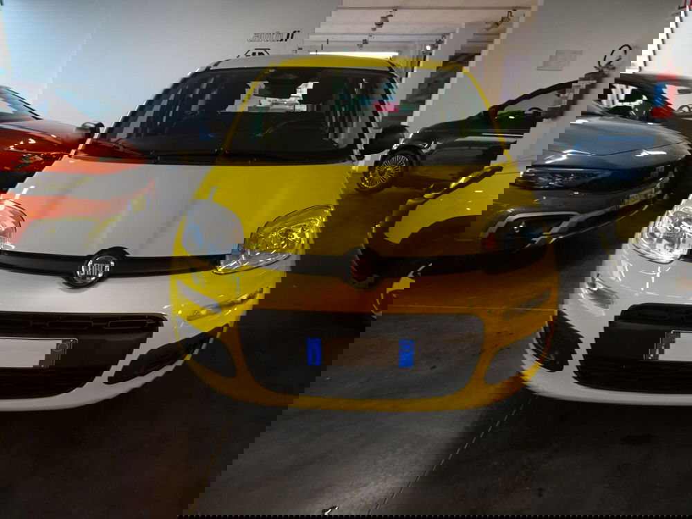 Fiat Panda usata a Lucca (7)