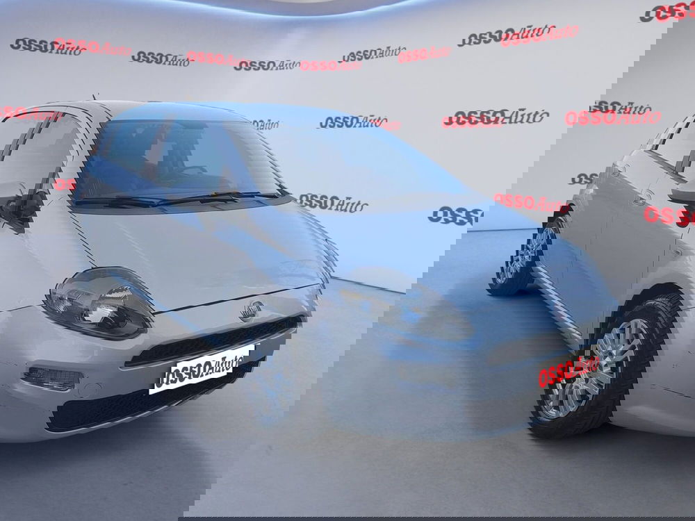 Fiat Punto usata a Udine (2)