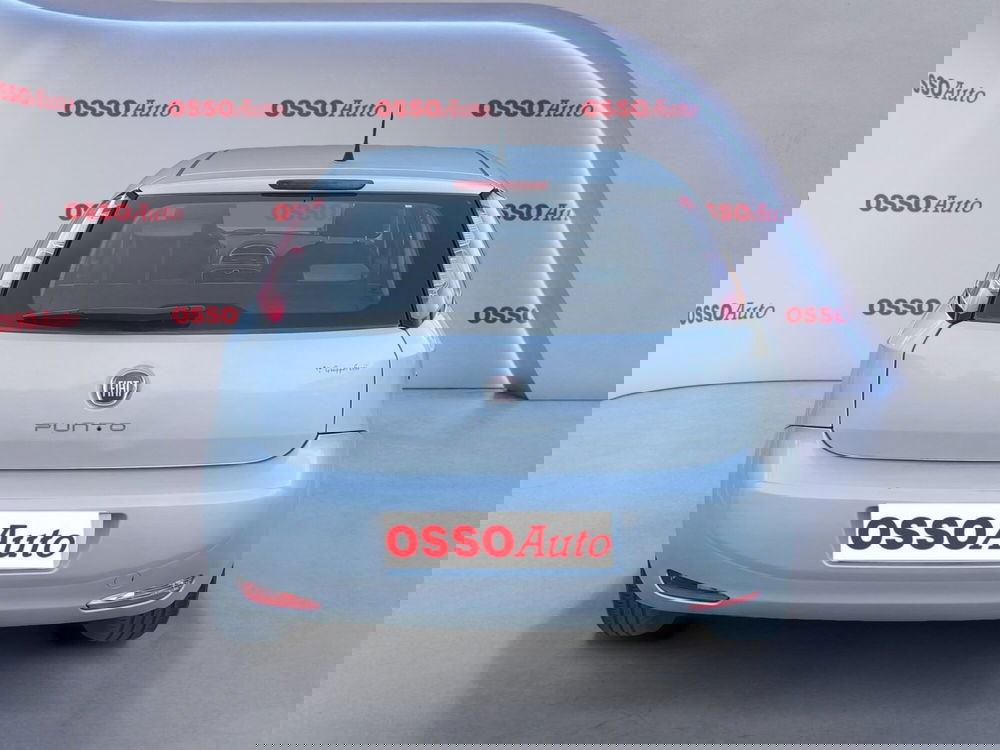 Fiat Punto usata a Udine (6)