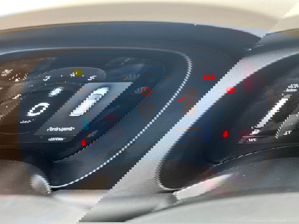 Fiat Pandina usata a Roma (11)