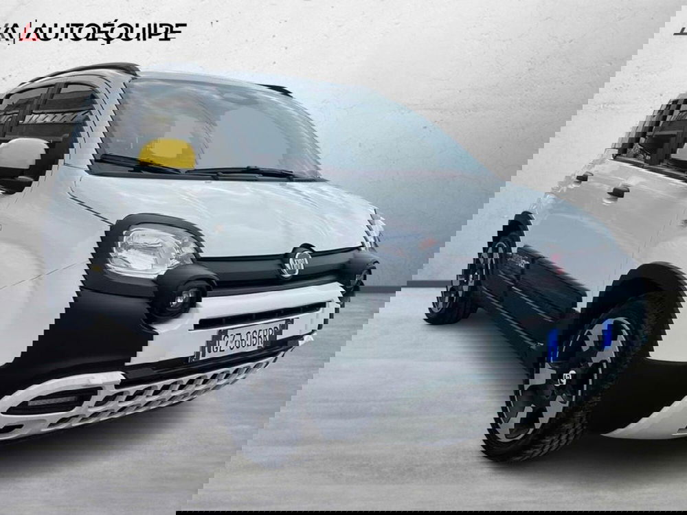 Fiat Pandina usata a Roma (7)