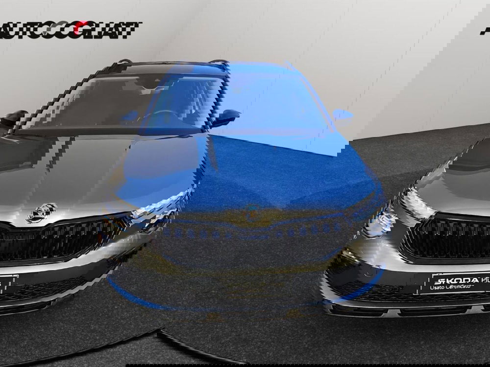 Skoda Kamiq usata a Lecco (2)