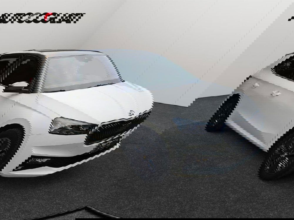 Skoda Fabia usata a Lecco (3)