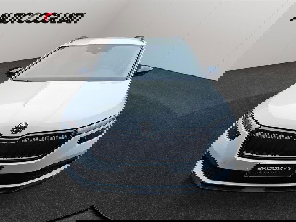 Skoda Kamiq usata a Lecco (2)