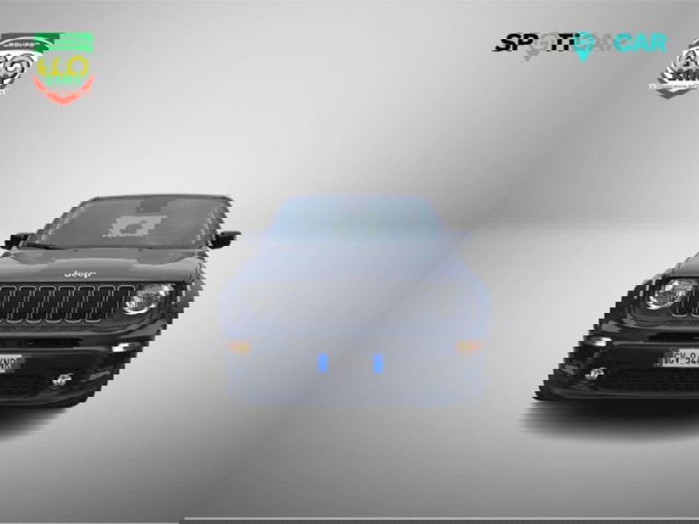 Jeep Renegade usata a Frosinone (2)